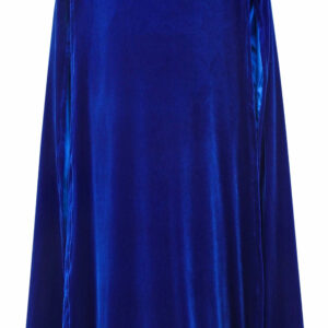 Blue Royal Senate Guard – ROTS